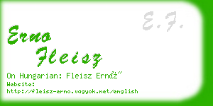 erno fleisz business card